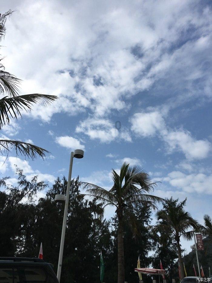 春雨直播app
